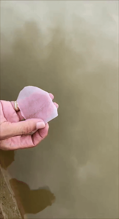 Mini distributeur de savon en feuilles