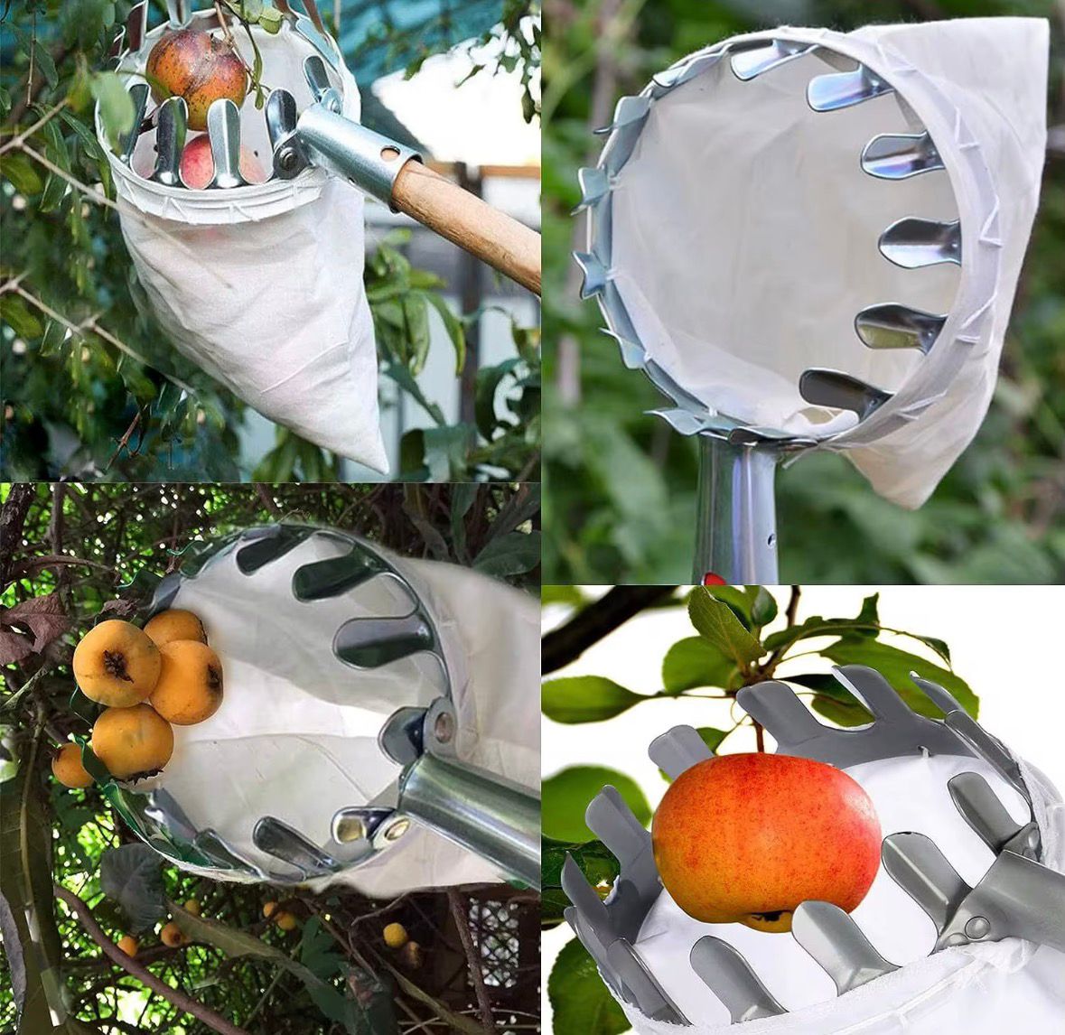 Pince fruit