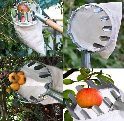 Pince fruit